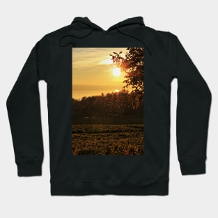 Flies in the Sunset - Lake Constance Hoodie